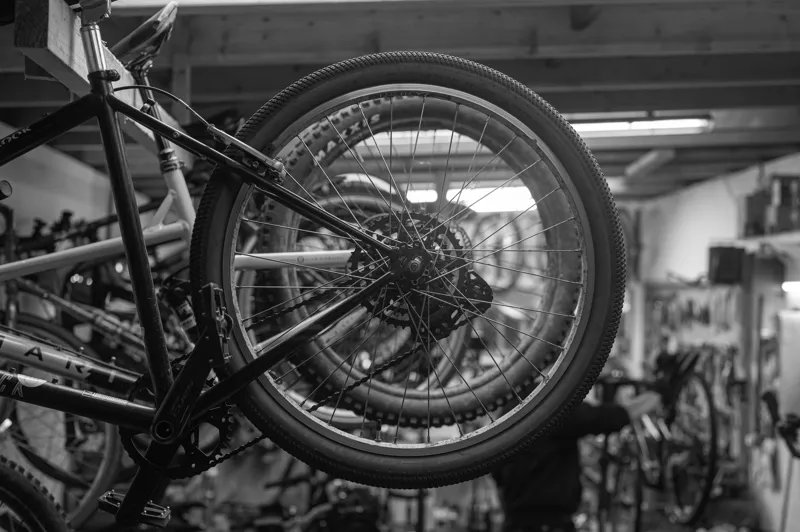 Expert Advice from Expert Mechanics