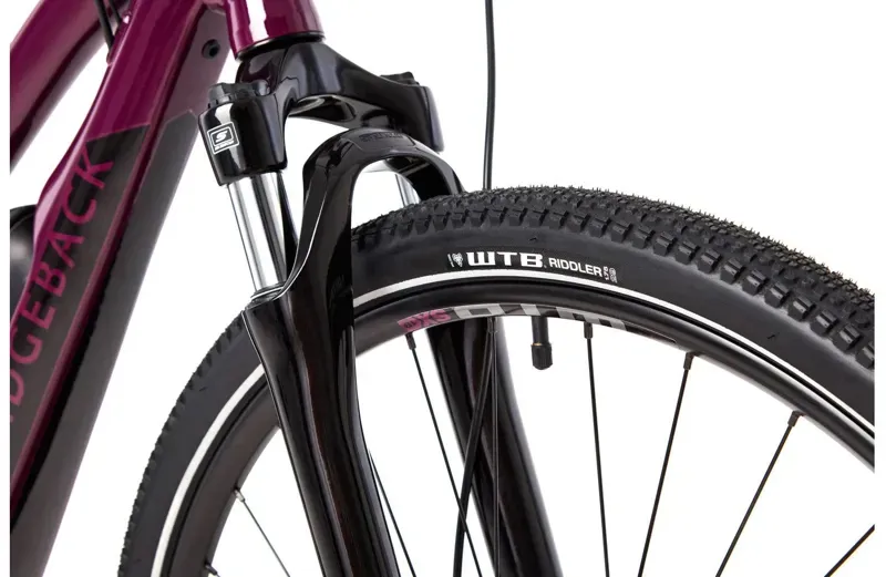 Ridgeback E-Active X2 Small Plum Low step-3