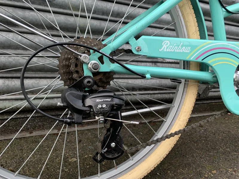 Bridgford Rainbow 24 Inch Town Bike -1