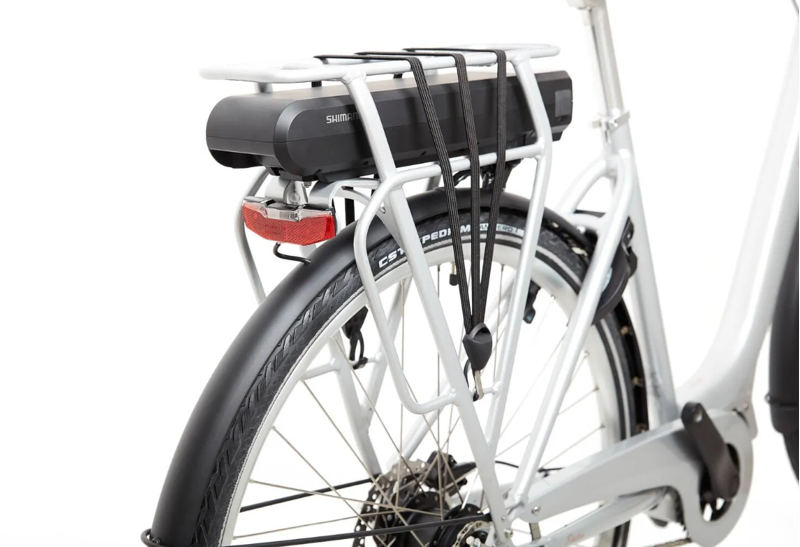 Ridgeback Electron S1 Medium/Large-2